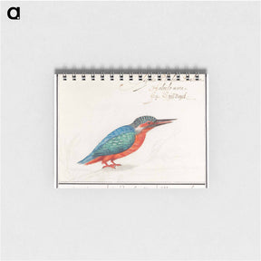アートメモ帳-The Kingfisher - アンセルムス ボエティウス デ ブート Memo.