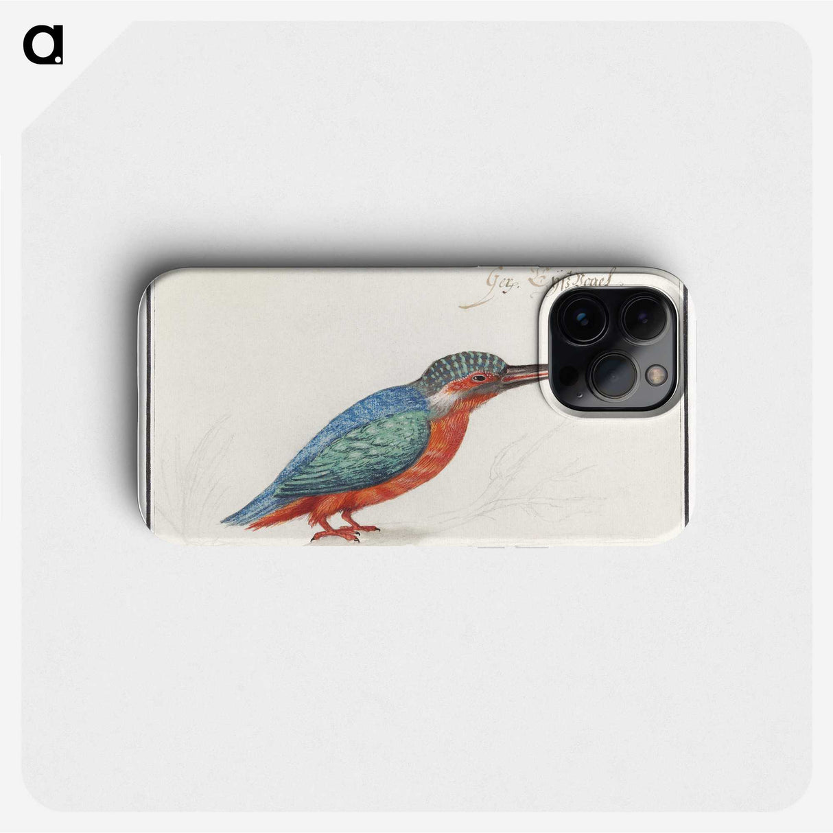 1-89_Anselmus-Boetius-de-Boodt_phone