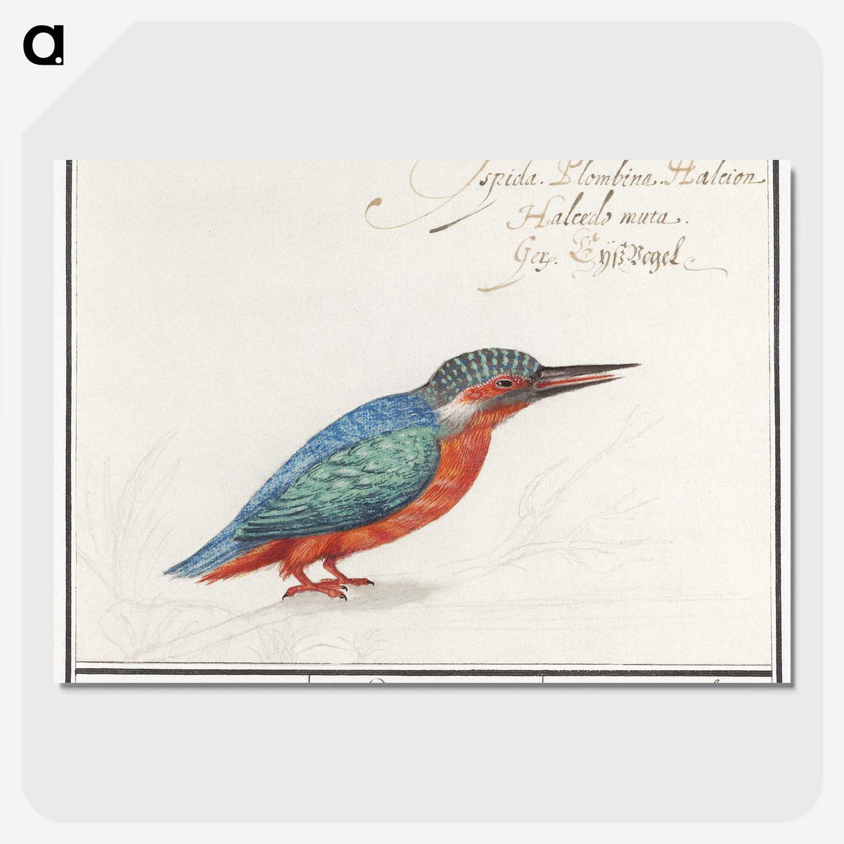1-89_Anselmus-Boetius-de-Boodt_picture-crop