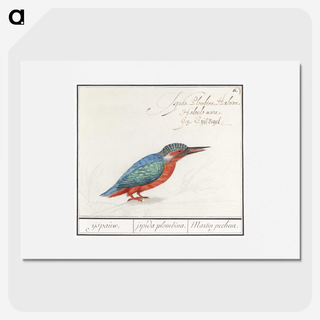 1-89_Anselmus-Boetius-de-Boodt_picture