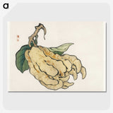 1-89_Bairei-Gakan_picture-crop