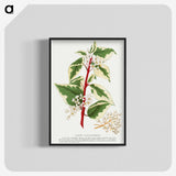 1-89_Botanical-Specimen-Plates_blk-crop