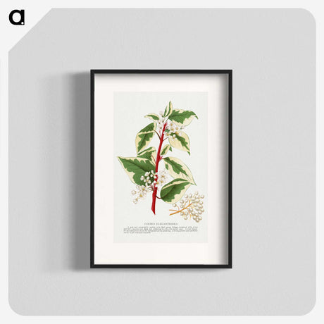 1-89_Botanical-Specimen-Plates_blk