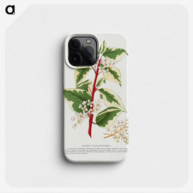 1-89_Botanical-Specimen-Plates_phone