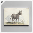 1-89_Charles-Hamilton-Smith_canvas
