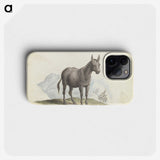 1-89_Charles-Hamilton-Smith_phone