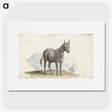 1-89_Charles-Hamilton-Smith_picture