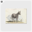 1-89_Charles-Hamilton-Smith_postcard