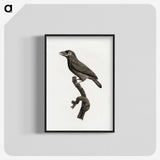 1-89_Des-Oiseaux-de-Paradis_blk-crop