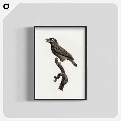 1-89_Des-Oiseaux-de-Paradis_blk-crop