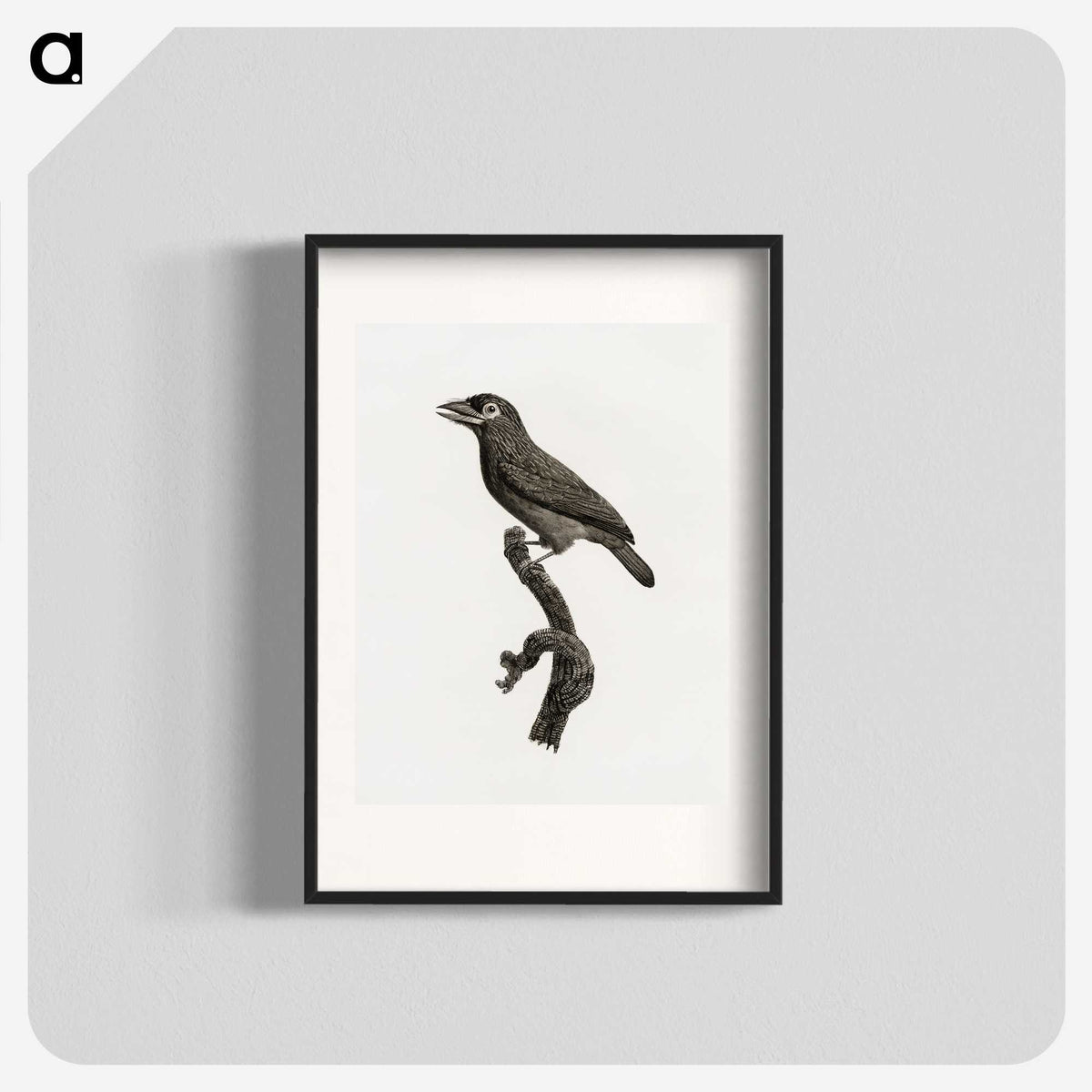 1-89_Des-Oiseaux-de-Paradis_blk