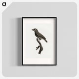 1-89_Des-Oiseaux-de-Paradis_blk