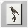 1-89_Des-Oiseaux-de-Paradis_canvas