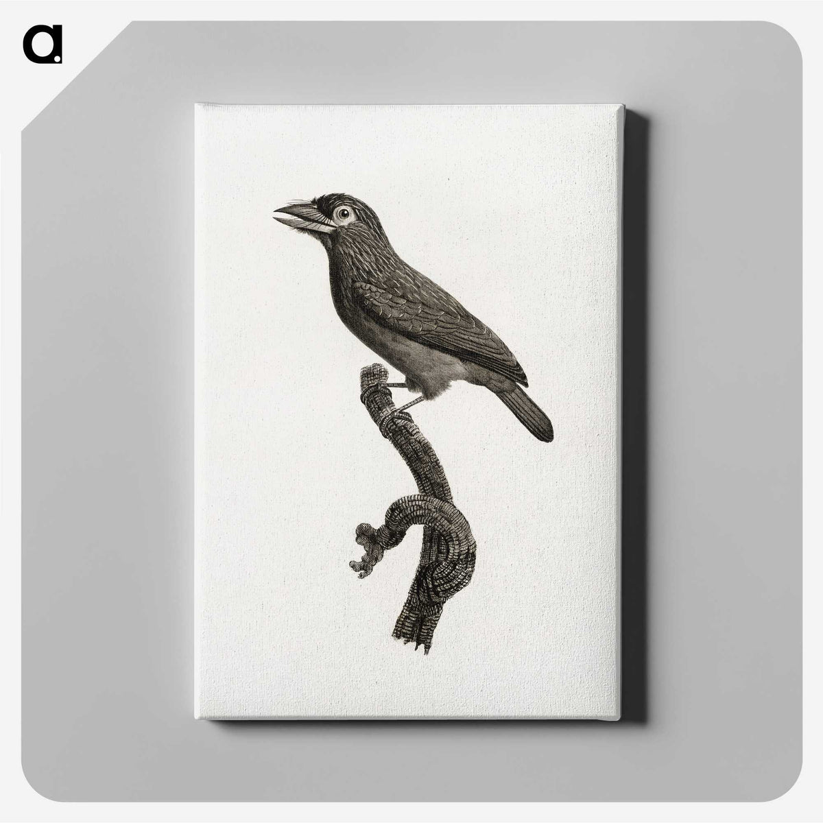 1-89_Des-Oiseaux-de-Paradis_canvas