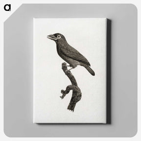 1-89_Des-Oiseaux-de-Paradis_canvas