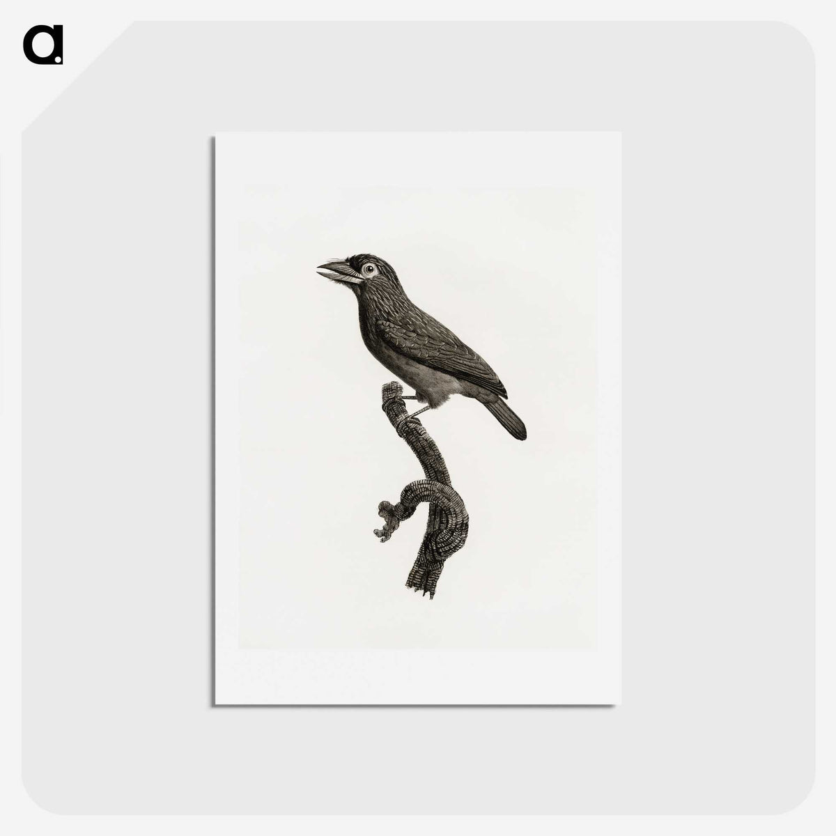1-89_Des-Oiseaux-de-Paradis_hagaki