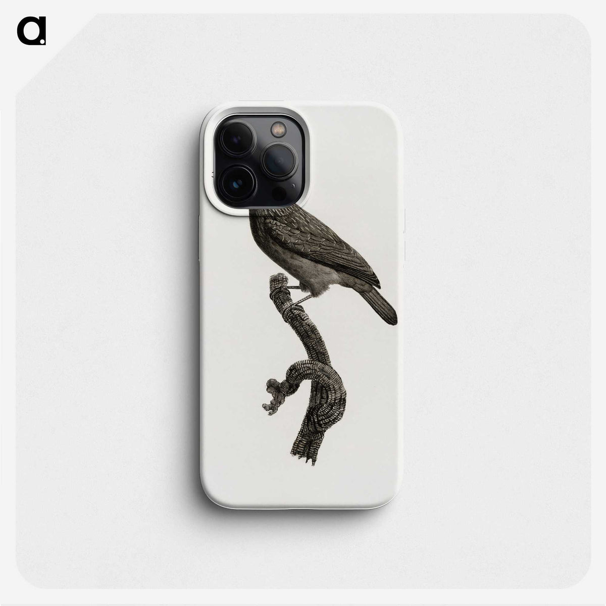 1-89_Des-Oiseaux-de-Paradis_phone
