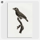 1-89_Des-Oiseaux-de-Paradis_picture-crop