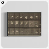 1-89_Eadweard-Muybridge_blk-crop