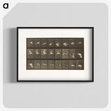 1-89_Eadweard-Muybridge_blk