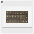 1-89_Eadweard-Muybridge_picture