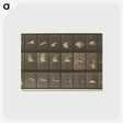 1-89_Eadweard-Muybridge_postcard
