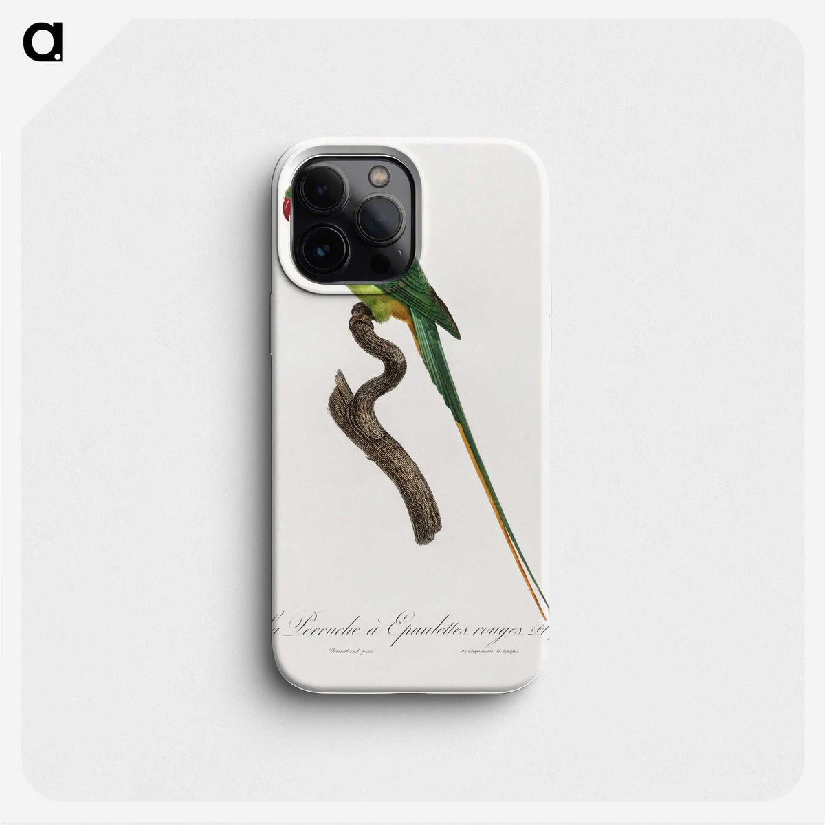1-89_Francois-Levaillant_phone