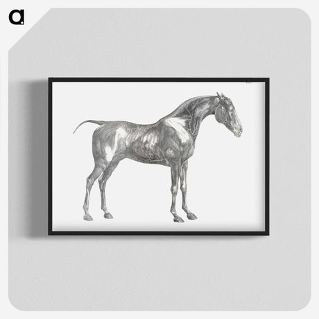 1-89_George-Stubbs_blk-crop