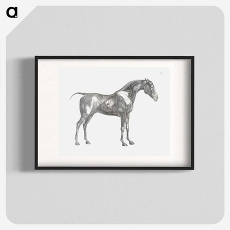 1-89_George-Stubbs_blk