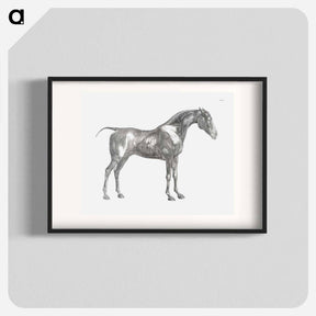 アートポスター-The Anatomy of the Horse
 - ジョージ スタッブス Poster.