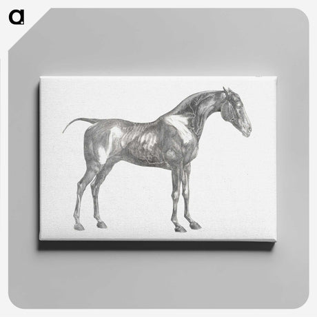 1-89_George-Stubbs_canvas