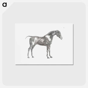 アートポストカード-The Anatomy of the Horse
 - ジョージ スタッブス Postcard.