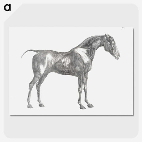 1-89_George-Stubbs_picture-crop