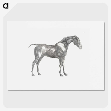 1-89_George-Stubbs_picture