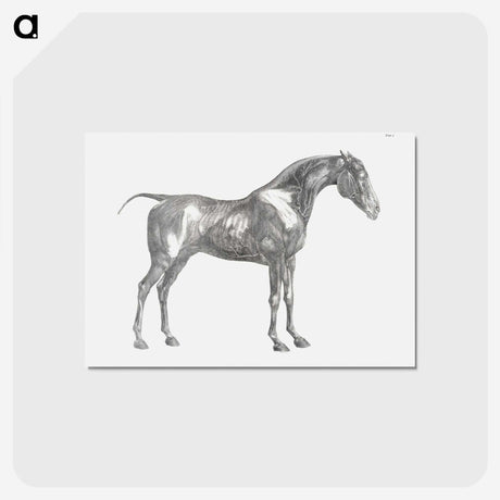 1-89_George-Stubbs_postcard