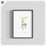 1-89_Histoire-des-Plantes-Grasses_blk