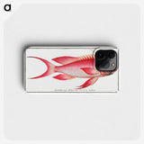 1-89_Ichtyologie-ou-Histoire-naturelle_phone