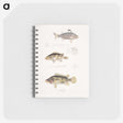 1-89_Indian-Zoology_memo