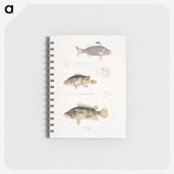 1-89_Indian-Zoology_memo