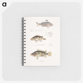 1-89_Indian-Zoology_memo