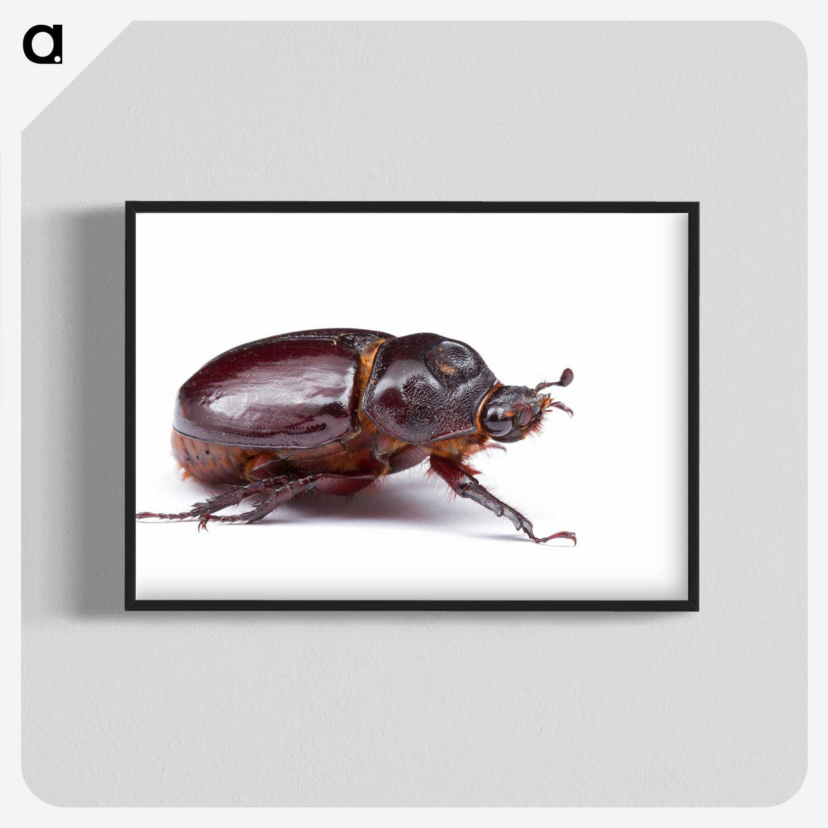 1-89_Insects-Unlocked-Project_blk-crop