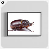 1-89_Insects-Unlocked-Project_blk-crop