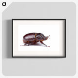 1-89_Insects-Unlocked-Project_blk