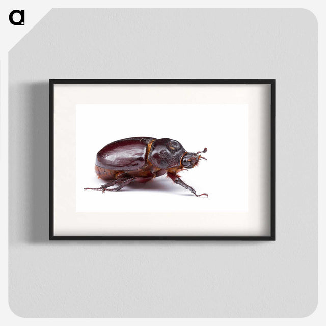 1-89_Insects-Unlocked-Project_blk
