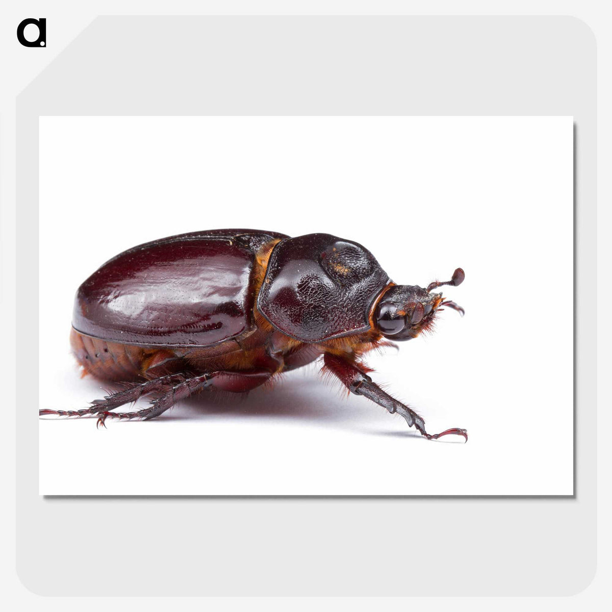 1-89_Insects-Unlocked-Project_picture-crop