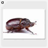 1-89_Insects-Unlocked-Project_picture-crop