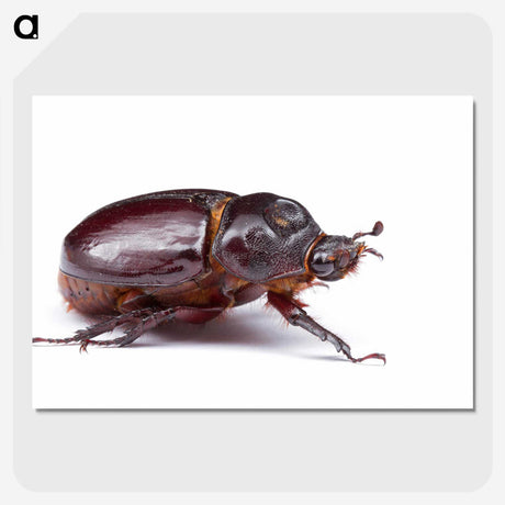 1-89_Insects-Unlocked-Project_picture-crop