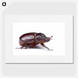 1-89_Insects-Unlocked-Project_picture