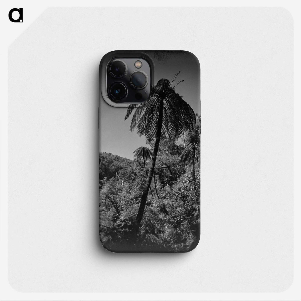 1-89_James-Walter-Chapman-Taylor_phone