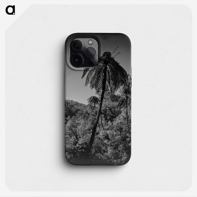 1-89_James-Walter-Chapman-Taylor_phone